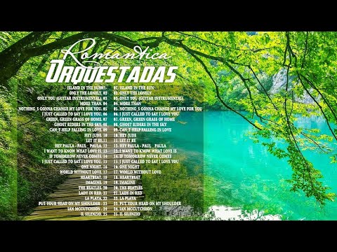 Musica Instrumental De Oro Del Recuerdo - 500 Melodias Orquestadas Mas Bellas Para Ti Relajación