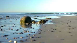 4º I Cant Stop Loving You - Javier Cover