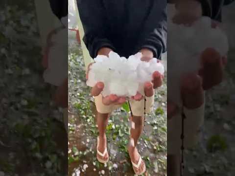 🇧🇷 CHUVA DE GRANIZO EM PALMEIRA D'OESTE SÃO PAULO 24/11/2025 #chuvas #alerta #clima #rain #noticias