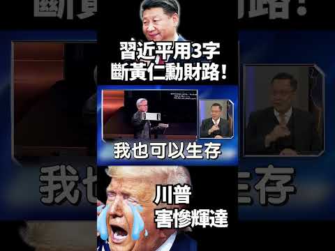 都是川普害的！輝達最怕的事發生了：習近平一句「不用了」 斷了黃仁勳財路！｜#獨家觀點 #寰宇全視界 #寰宇新聞  @globalnewstw