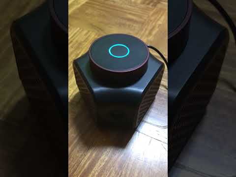 白酢を使って野ネズミを駆除する方法は？重要なヒントとコツ  庭園