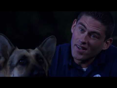 beverly hills chihuahua 2 (2011) - reunited