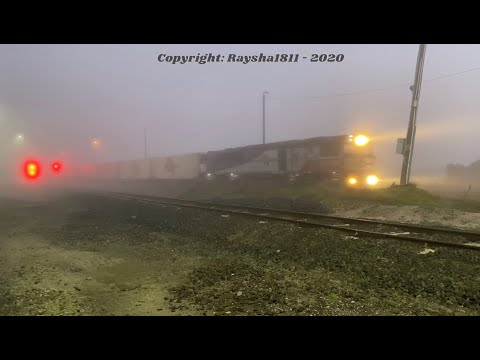 5AM9 - SCT009 (SCT) Gheringhap - Australian Trains by RaySha1811