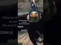 Comedy Clip Stay In The Gray Podcast Neverending Story Political Satire