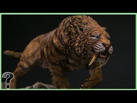 How Did The Saber-Toothed Tiger Go Extinct?