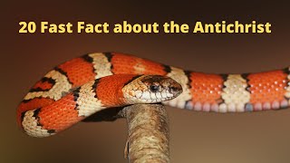 20 Fast Facts about the Antichrist you need to know.