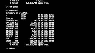How to run a 16-bit Program in DOSBox