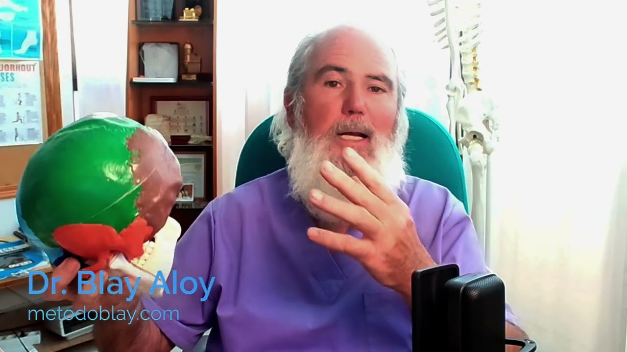 Jose Andrés Blay Aloy-20