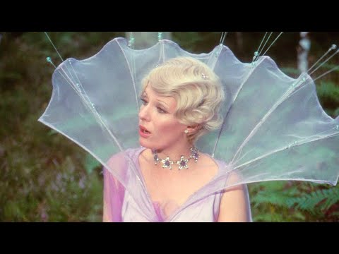 Peau d'Âne - Conseils de la Fée des Lilas