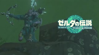 "伝説のライネル"ストーリーより先に討伐【＃２１】【ゼルダの伝説 ティアーズ オブ ザ キングダム】