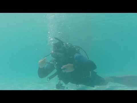 OWD Course - CW#4 skill   Hovering oral 1min