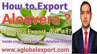 How to export aloe vera from india? Aloe vera export business.
