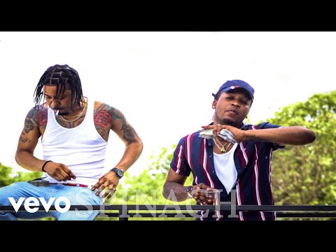 Staggy YBC - SPINACH