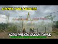Terbaru ️ Apanya Yang Menarik Ayo Keliling Wisata Gumuk Rayud Parijatah Srono Banyuwangi