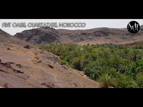 The Oasis of Fint, Ouarzazate, Morocco, [Hidden Oasis]