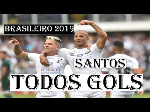 TODOS GOLS SANTOS BRASILEIRÃO 2019