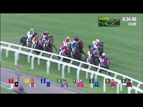 23/5/2021 (699) Killer Bee - J Moreira