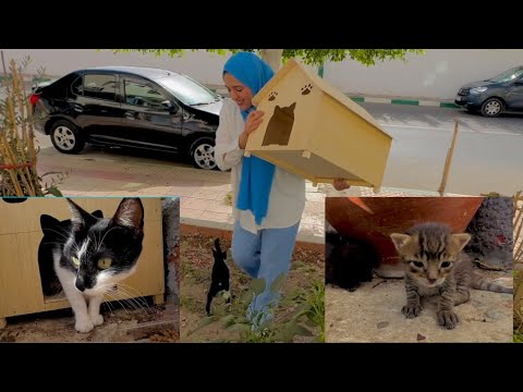 This mama cat always gets everything she wants with her sweet meow.