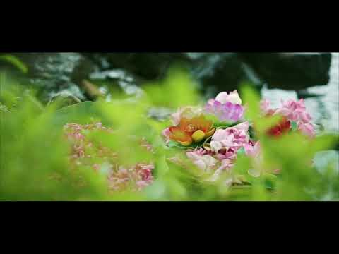 Making video of our Heritage Series 1 - Saritha Jayasurya design studio | Sharanya Menon