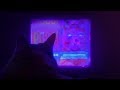 Vidéo de gameplay de Puss!  PC