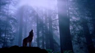 Choir of young Believers - &#39;Hollow Talk&#39; with lyrics