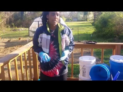 How to make an easy compost bin for $5