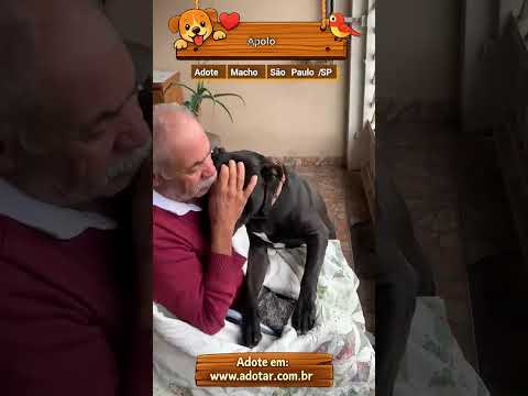 Vídeo de Apolo 
