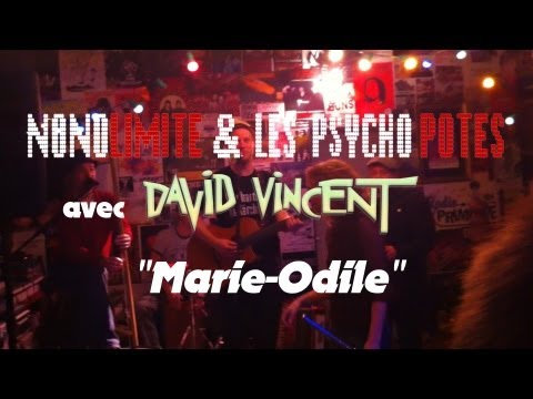 [N&PP] en acoustique feat. DAVID VINCENT - Marie Odile