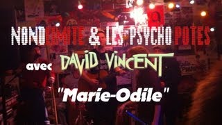 [N&PP] en acoustique feat. DAVID VINCENT - Marie Odile