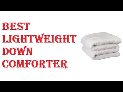 Best Lightweight Down Comforter 2021