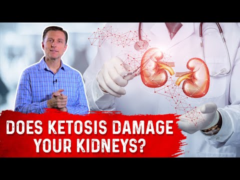 The Top SUPERFOODS for the Kidneys—Explained by Dr Berg