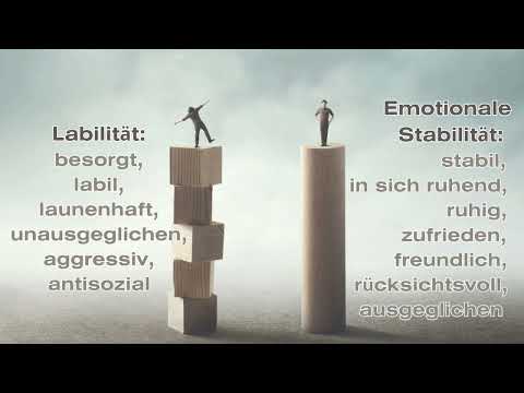 Coaching: The Big Five/das Fünf - Faktoren - Modell der Persönlichkeitseigenschaften
