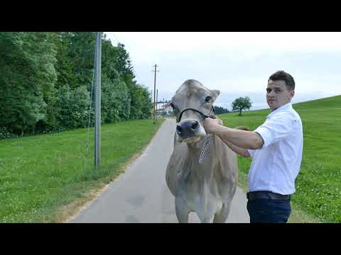 28 Emma DE 08 151 46861 Fuchs GBR 7. Laktation