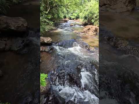 Corredeira Salto Rochedo Jandaia do Sul-PR @REDE.LEGAL.BRASIL 21/01/2026