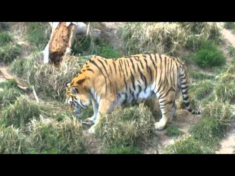 Fishing Holidays In Spain - Family Day Out - Terra Natura Benidorm