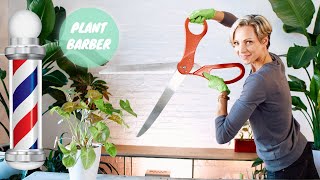 How To Trim Plants Like A Pro