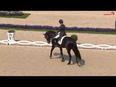 Glamourdale (Lord Leatherdale x Negro) CHIO Aachen 2019