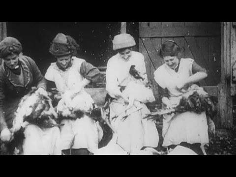 Turkeys for Xmas (1915) | BFI National Archive
