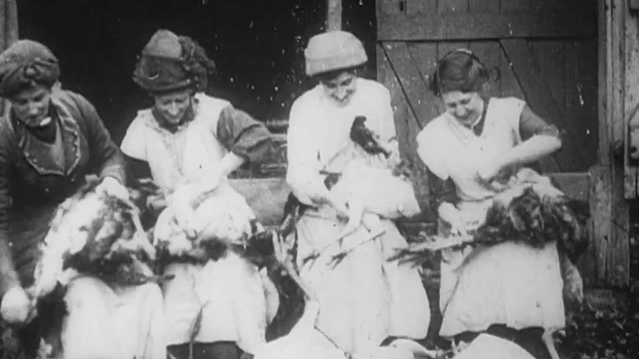 Turkeys for Xmas (1915) | BFI National Archive