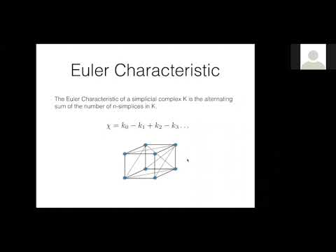 Martina Scolamiero - Euler Characteristic