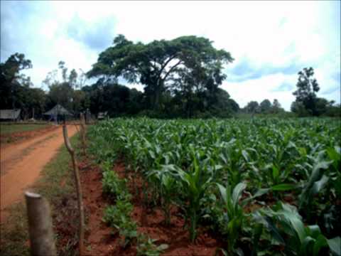 Rick e Renner  - Casa de caboclo