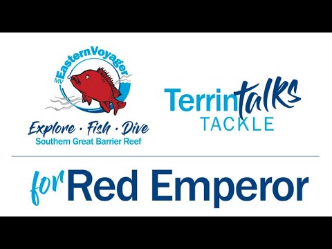 Red Emperor Bait on the Paternoster Rig