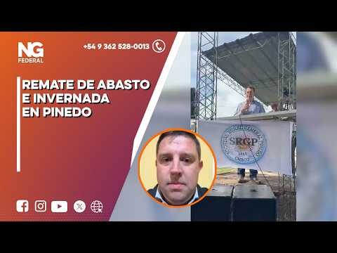 NG FEDERAL - REMATE DE ABASTO E INVERNADA EN PINEDO - CHACO