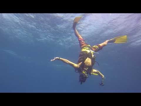 Paul Stoeppelwerth CEO of Cancun Application Team Blue Baracudas