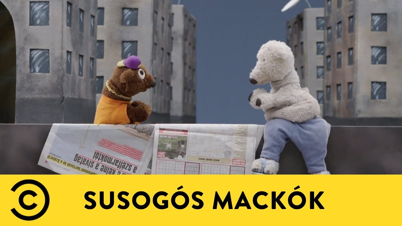 Miért védett a jegesmedve? | Susogós Mackók 🐻