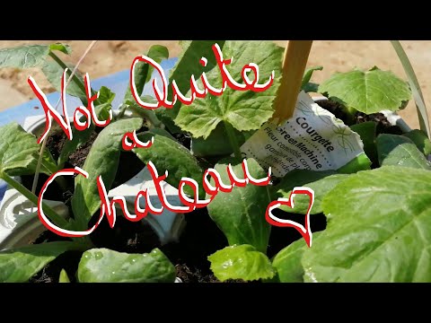 Not Quite a Chateau DIY 68 -  Big Beds -  Flying Tiles - Spot On -  Busy Bees -  and A Little House?