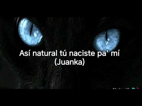 Luis Fonsi_ Farruko_ Dalex_ Juanka - Perfecta (Remix) LETRA