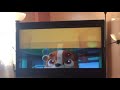 Nick Jr Super New Saturday Promo