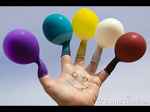 Lei è lei I Romans di & con Tony Coclite