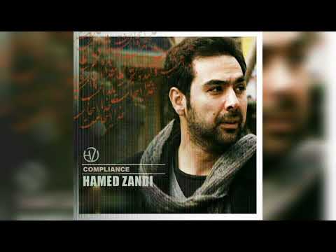 COMPLIANCE BY  HAMED ZANDI